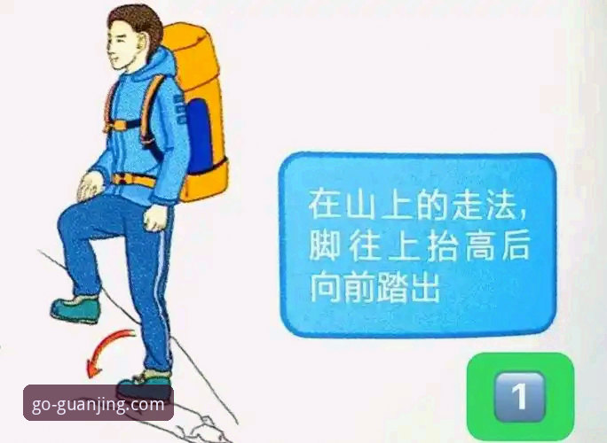 掌握冠竞体育赛事数据的5个关键步骤：从新手到达人的完整指南
